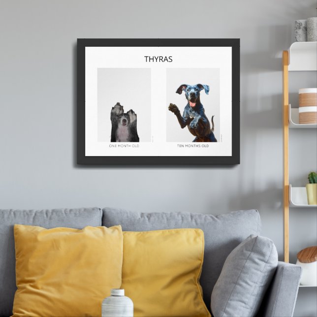 Aging personalized Great Dane  Framed Art (Living Room 3)