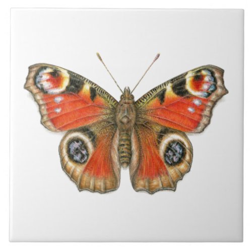 Aglais io _ Peacock Butterfly Ceramic Ceramic Tile