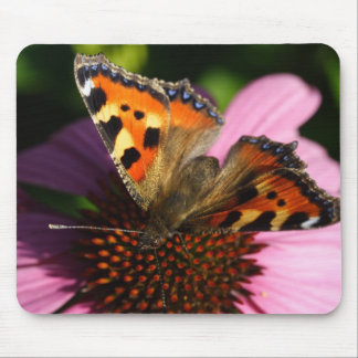 Aglais urticae mouse pad
