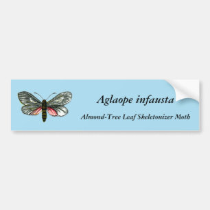 Aglaope infausta - Almond-Tree Leaf Skeletonizer Bumper Sticker
