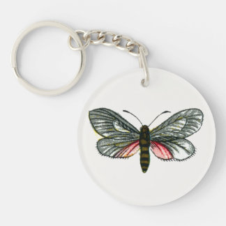 Aglaope infausta - Almond-Tree Leaf Skeletonizer Keychain