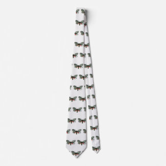 Aglaope infausta - Almond-Tree Leaf Skeletonizer Neck Tie