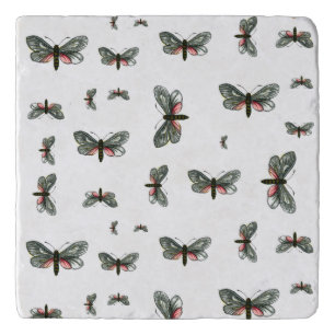 Aglaope infausta - Almond-Tree Leaf Skeletonizer Trivet