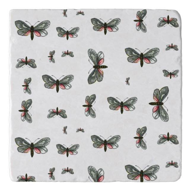 Aglaope infausta - Almond-Tree Leaf Skeletonizer Trivet (Front)
