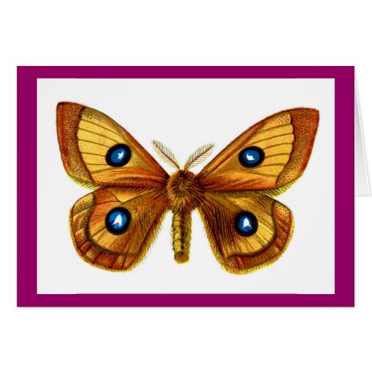 Aglia Tau Butterfly Cards (Front Horizontal)