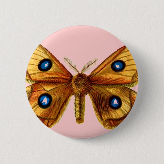 Aglia Tau Butterfly Pinback Button (Front)