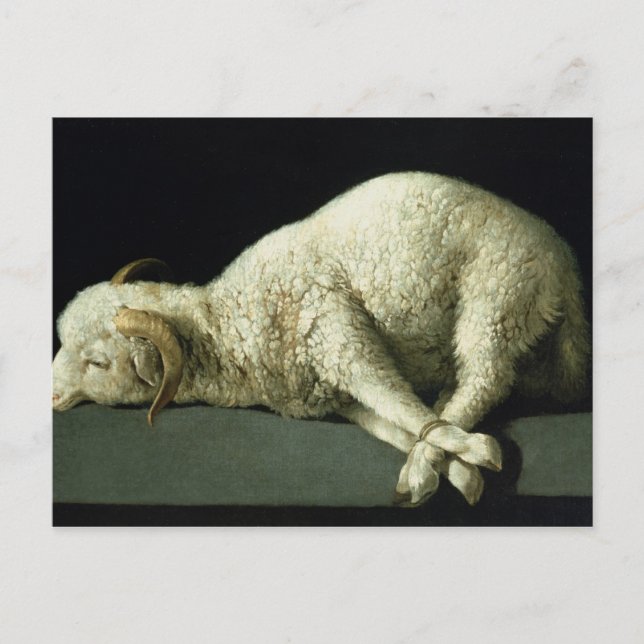 Agnus Dei, c.1635-40 Postcard (Front)