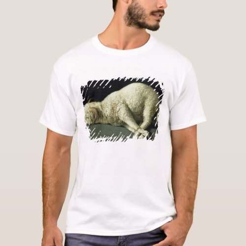 Agnus Dei c1635_40 T_Shirt