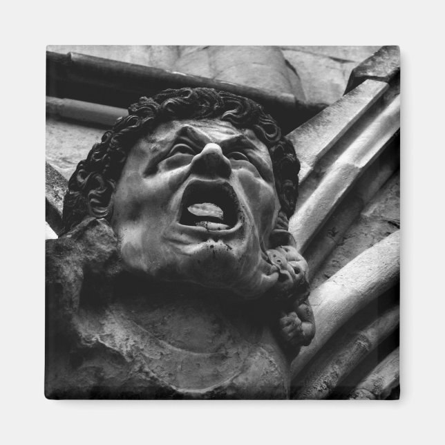 Agony of the Biting Imps Gothic Gargoyle Magnet (Front)