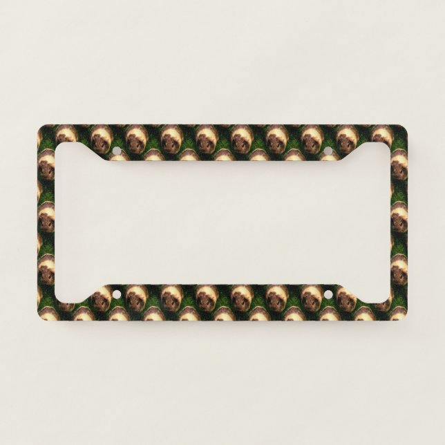 Agouti Guinea Pig in the Grass License Plate Frame (Front)