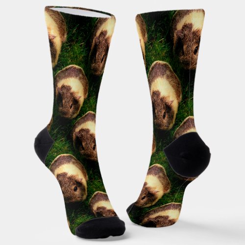 Agouti Guinea Pig in the Grass Socks