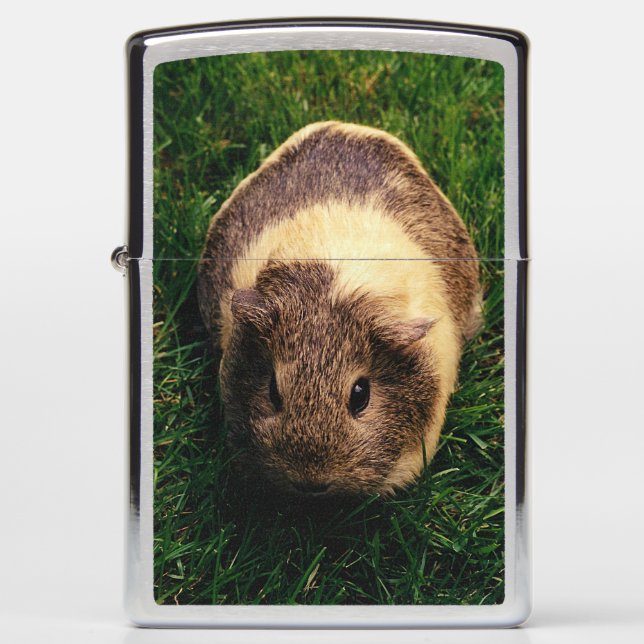 Agouti Guinea Pig in the Grass Zippo Lighter (Front)