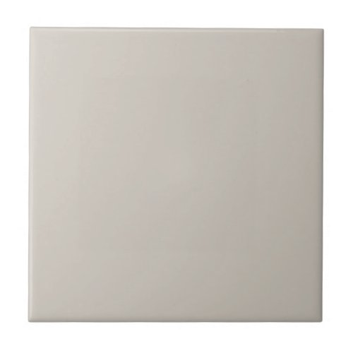 Agreeable Gray Solid Color Ceramic Tile