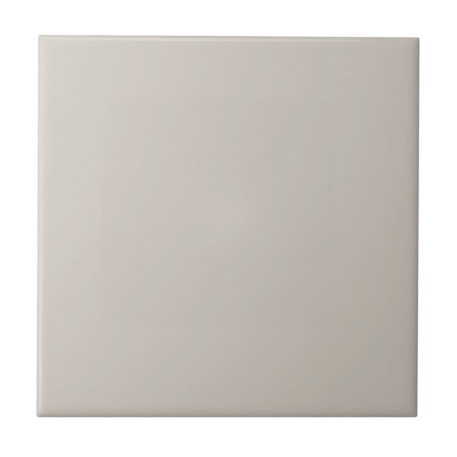 Agreeable Gray Solid Color Ceramic Tile (Front)