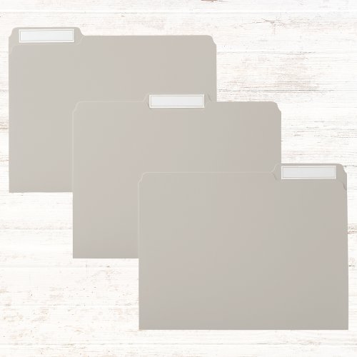 Agreeable Gray Solid Color File Folder