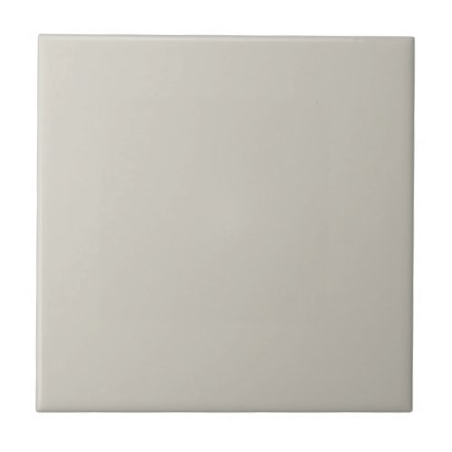 Agreeably Gray Square Kitchen and Bathroom Ceramic Tile