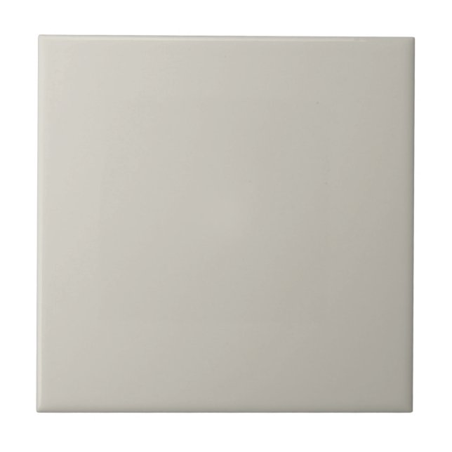 Agreeably Gray Square Kitchen and Bathroom Ceramic Tile (Front)