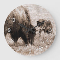 Agressive bison and black wolf