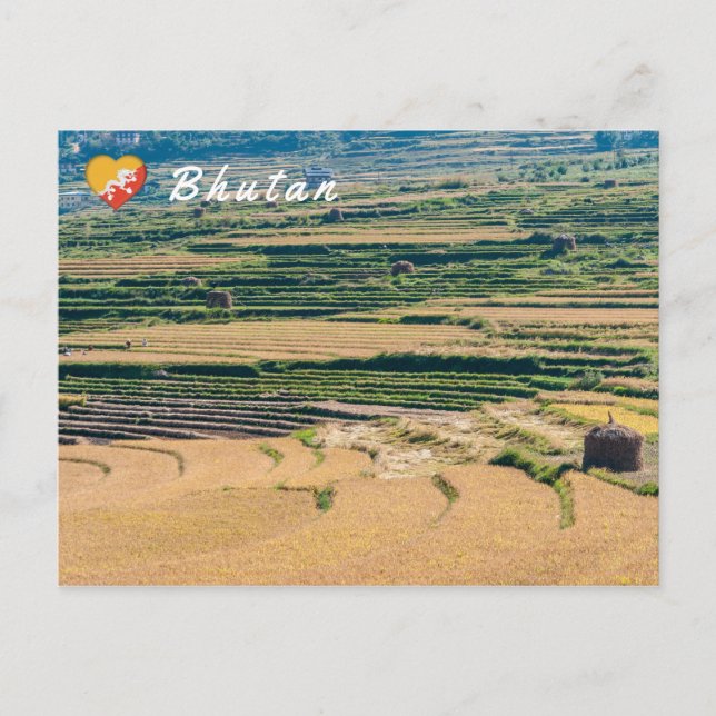 Agricultural Bhutanese landscape Postcard (Front)