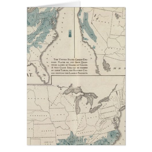 Agricultural productions (Front)