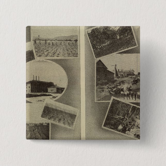 Agricultural prosperity, Oregon Button (Front)