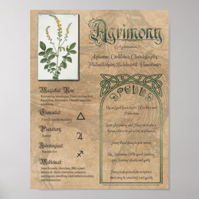 Agrimony Herbal Book of Shadows Pagan Wiccan Poster (Front)