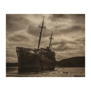 Aground ship at cabo san pablo beach wood wall art