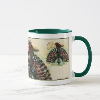 Àguila Sol Mug