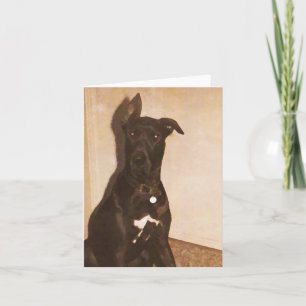 AH-Great Dane Dog Notecards or Greeting cards