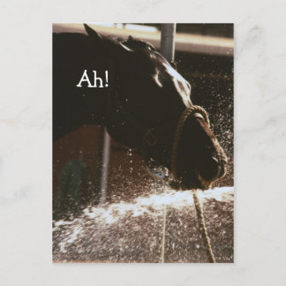 Ah Postcard