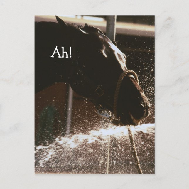 Ah Postcard (Front)