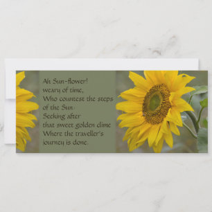 Ah Sun-flower CC0274 Poetry Invitation
