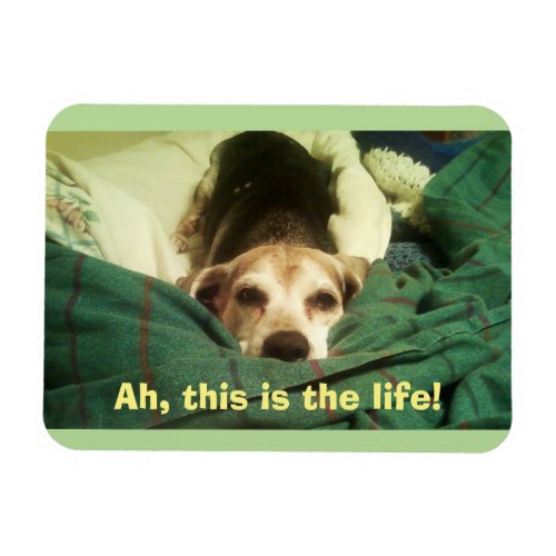 Ah This Is the Life Beagle 3x4 Fridge Magnet