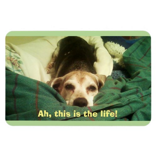 Ah This Is the Life Beagle 4x6 Fridge Magnet