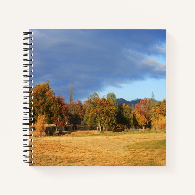 Ahhhh the colors of Fall... Notebook (Front)