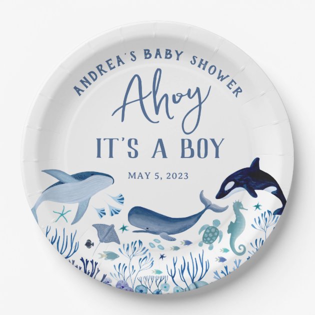 Its a boy store plates