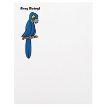 Ahoy Matey Pirate Parrot Cartoon, Funny Macaw Bird