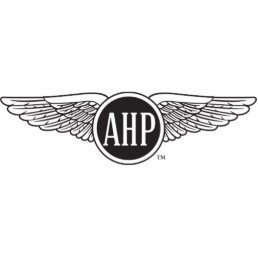 AHP Wings - B&amp;W Statuette