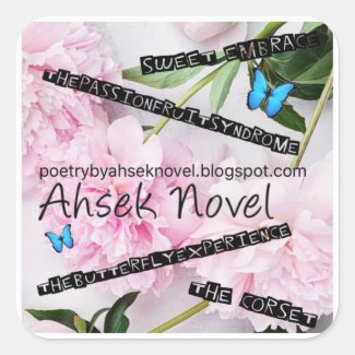 Ahsek Novel Stickers 12