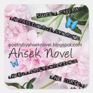Ahsek Novel Stickers 12