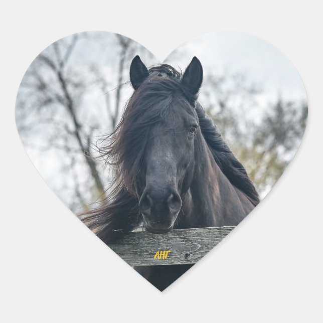 AHT Horse Rescue Heart Sticker (Front)
