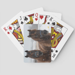 AHT Horse Rescue Poker Cards