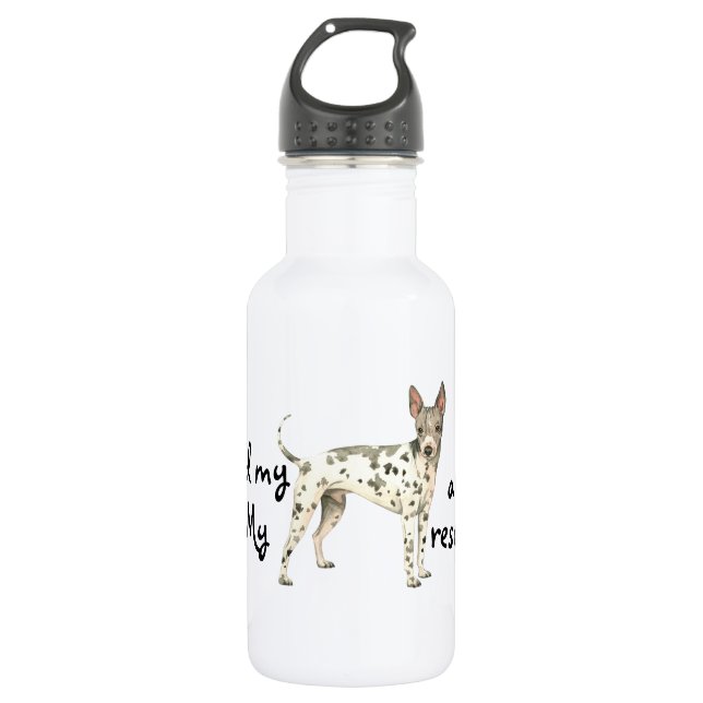 AHT Rescue Stainless Steel Water Bottle (Front)