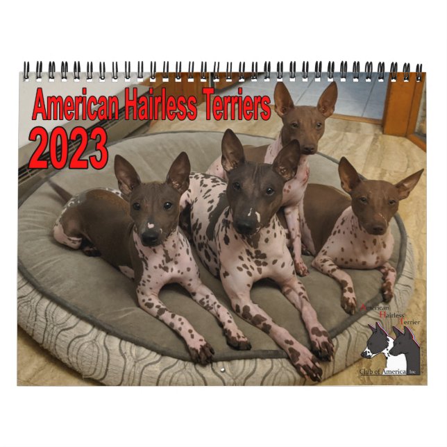 AHTCA 2023 American Hairless Terrier Calendar (Cover)