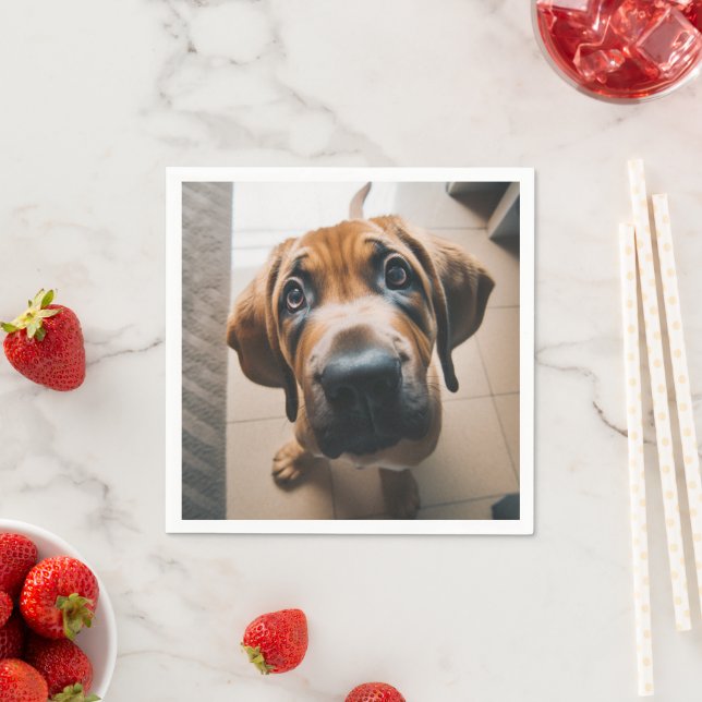 Ai Dog Napkins (Insitu)