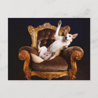 AI Dog Throne Postcard