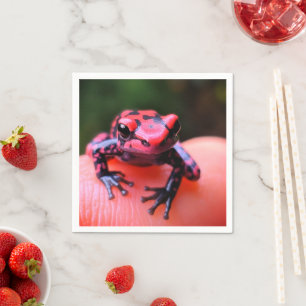Ai Red Frog Napkins