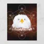 aigle metatron (Back)