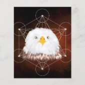 aigle metatron (Front)