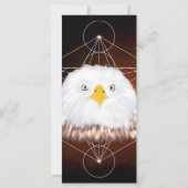 aigle metatron (Back)